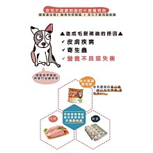 商品縮圖-4