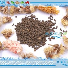 【魚店亂亂賣】GEX五味-水草高透明底床1L散裝(黑土)咖啡色(約820g)小缸有福摟㊣日本