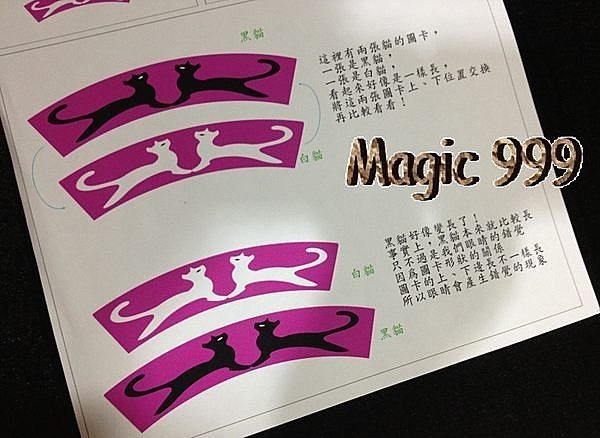 [MAGIC 999]衝評價~魔術道具!!神奇錯覺圖!!特賣只要39NT