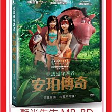 [藍光先生DVD] 亞馬遜守護者：安珀傳奇 AINBO：Spirit of the Amazon (車庫正版) 國語發音