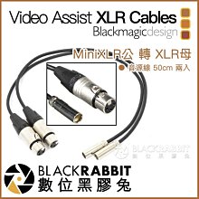 數位黑膠兔【 Blackmagic Video Assist Mini XLR Cables Mini XLR 公轉母 】