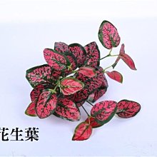 粉色花生葉 花草牆 仿真植物牆 背景牆 綠化景觀花草園 假草坪 人造花園 仿真植物