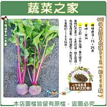 【蔬菜之家滿額免運】C19.福康甜菜根種子3克(約220顆)(一代交配，中熟品種，葉柄紅色直立，生長旺盛，根系發達)