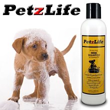 【🐱🐶培菓寵物48H出貨🐰🐹】PetzLife《潔牙樂》天然草本精油防蚤洗毛精8oz/瓶 特價399元