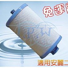 『台中淨水』活性炭濾心/特殊規格/適用安麗淨水器/Amway淨水器/安麗二代/II代~非原廠~