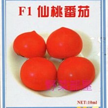 【野菜部屋~】L30 仙桃蕃茄種子5粒 , 大果 , 極早生品種 , 每包15元 ~