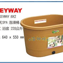 =海神坊=『免運/自載/滿額優惠』台灣製 KEYWAY BX2 春天SPA泡澡桶大人兒童浴缸浴盆夏天消暑冬天泡湯220L