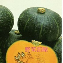 【野菜部屋~】K33 日本味平南瓜種子1粒 , 果肉強粉質 , 食味佳 , 每包15元~