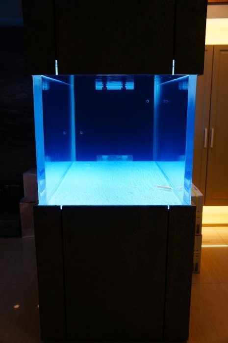 鶴 魚宅專業設計@一體成型水晶壓克力缸@壓克力魚缸@壓克力缸