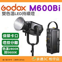 神牛 Godox 諾力 M600Bi 雙色溫 LED持續燈 公司貨 保榮卡口 燈控分離 補光燈 攝影燈 直播 商品攝影