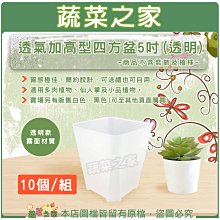 【蔬菜之家滿額免運】 透氣加高型四方盆5吋 10個/組 (透明)※不適用郵寄掛號配送※