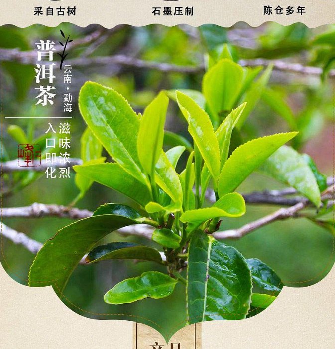 普洱茶生茶2007年三爬老班章勐海古樹純料茶葉雲南七子餅茶357克