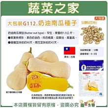 【蔬菜之家滿額免運】大包裝G112.奶油南瓜種子50顆(巴特)早生、品質優良之奶油南瓜 肉色橘黃，品質佳，產量高