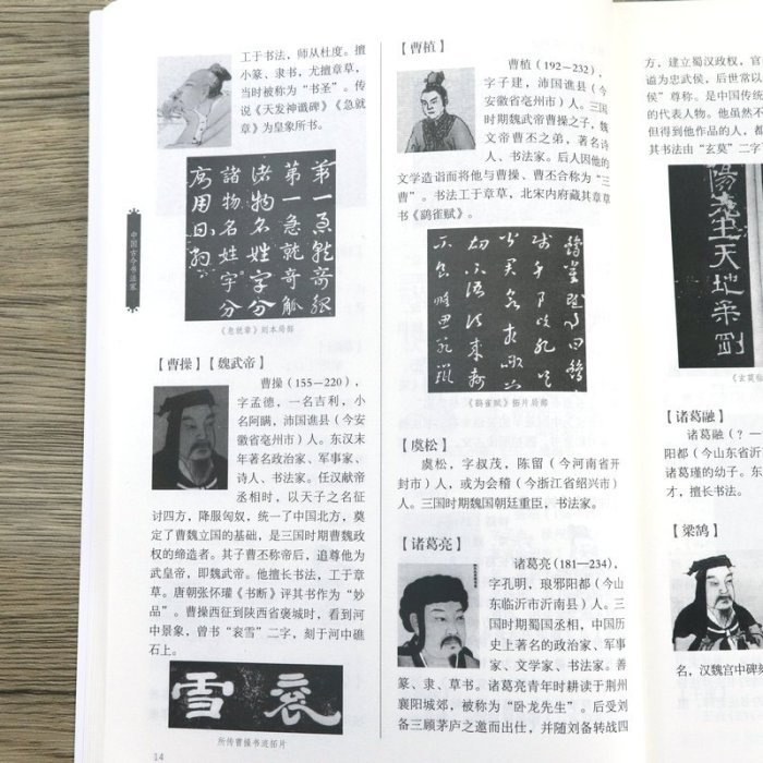 書籍#中國古今書法家 歷代書法家篆刻字帖真跡欣賞全集王羲之趙孟頫褚遂良柳公權顏真卿等名家書法作品書籍