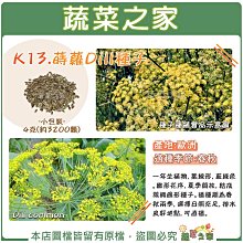 【蔬菜之家滿額免運】K13.蒔蘿Dill種子4克(約3200顆) 一年生植物，葉線形，藍綠色。繖形花序，夏季開放，結成簇橢圓形種子。