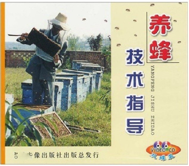 秀瑋 養蜂工具/養蜂技術 蜜蜂養殖技術 四季管理 5片DVD光碟