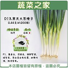 【蔬菜之家滿額免運】D13.寒天大蔥種子0.44克(約200顆)(F1，葉直立，深綠色，頸部緊實，蔥白亮白有光澤，耐寒)