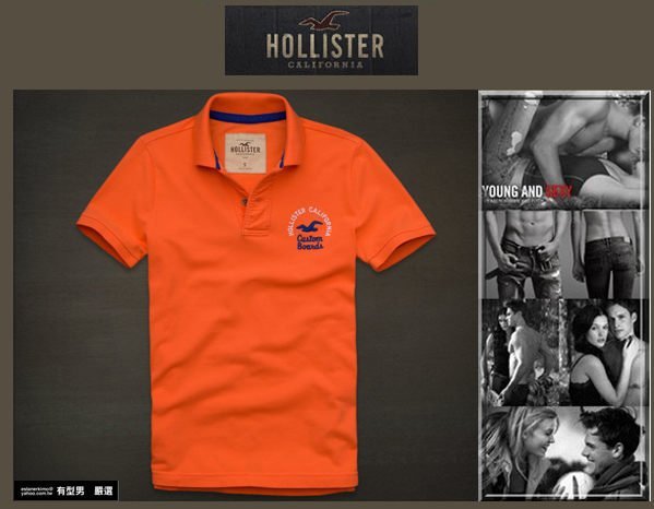 有型男~ A&F 副牌 Hollister 2013 春夏精典海鷗logo Embarcadero Polo  green 嫩綠 真品 現貨 S M L XL
