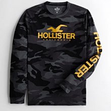 HCO Hollister 海鷗 長袖T恤 迷彩印花logo 現貨 長T 美國姐妹屋