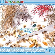 【~魚店亂亂賣~】LUANFISHOP嚴選(大型滴管)塑膠迷你刻度虹吸管27cm清缸換水利器.收集豐年蝦