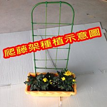 商品縮圖-1