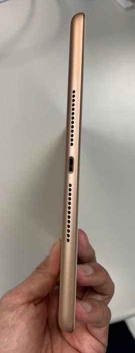 ipad6 金色 32g無傷換機賣給有緣人