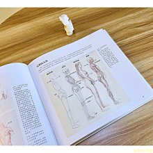 【福爾摩沙書齋】動態人體結構：藝用人體解剖、姿勢與動態解析