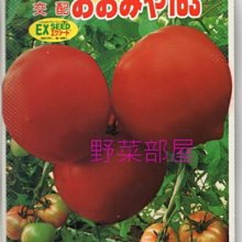 【野菜部屋~】L34 日本163蕃茄種子5粒 , 大果 , 甜度高 , 每包15元 ~