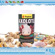 【魚店亂亂賣】Tropical德比克六角恐龍250ml異型.角蛙.底棲魚紅椒飼料波蘭U-T11614