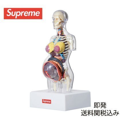 現貨全新Supreme Anatomy Model 人體解剖模型(一組另有優惠) 類KAWS 半