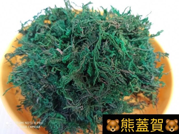 🐻滿690超商免運🐻綠色水苔50公克(綠水苔、綠水草)~蒔花弄草