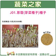 【蔬菜之家滿額免運】J01.苜蓿種子15克(約5500顆)//多年生草本植物，似蘭葉草，耐乾旱，耐冷热，產量高而質優