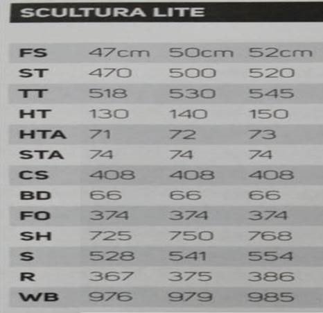 彰小弟自行車 MERIDA 美利達 SCULTURA 93-S 斯特拉 93-S 公路車 自由腳踏車 限量