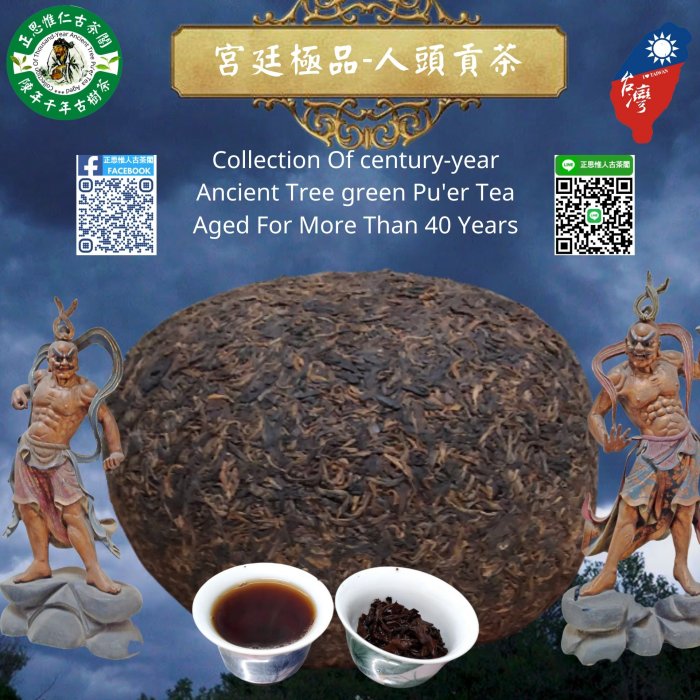 正思惟人古茶閣-早期收藏 -人頭貢茶(古樹芽茶)(老生芽茶)(陳期40年以上)