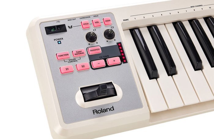 【民揚樂器】Roland A-49 MIDI鍵盤 主控鍵盤 49鍵 黑色 白色 可攜式