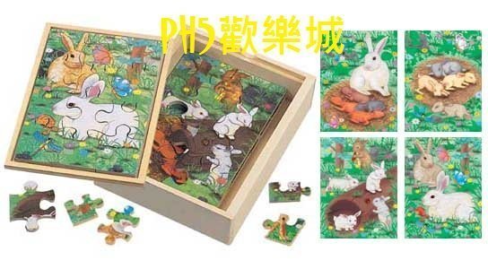 台灣製造品質好 JIGSAW PUZZLE OF STRAWBERRY 趣味蝴蝶成長拼圖 高雄市可面交