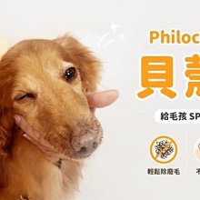 【阿肥寵物生活】日本 PHILOCOMB 寵物貝殼梳 犬.貓.兔.天天皆可用