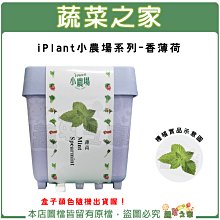 【蔬菜之家滿額免運】 iPlant小農場系列-香薄荷 (綠薄荷 野薄荷 青薄荷)提神 可作調味料用※不適用郵寄