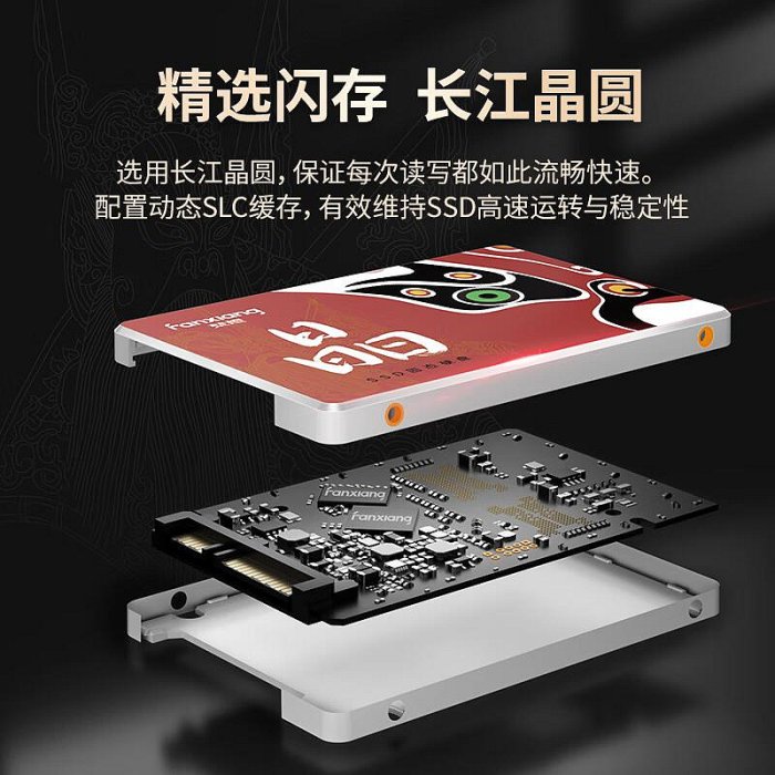 梵想SSD固態硬碟SATA3.0接口S100proS101高速讀寫防震原廠芯片708