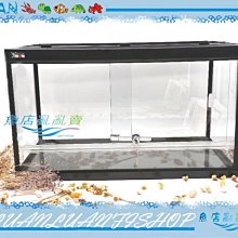【魚店亂亂賣】台灣HIROTA玻璃爬蟲箱RP-600型(60*30*36CM)兩棲.寵物缸(可滑動式玻璃門)