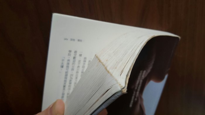 姊姊的守護者（二手書滿500元免運）