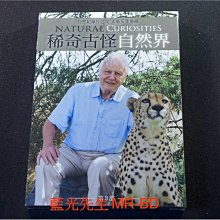 [DVD] - 稀奇古怪自然界 : 第3部 Natural Curiosities 雙碟版 ( 得利公司貨 )