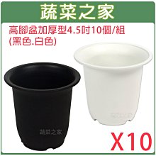 【蔬菜之家滿額免運005-D18-1】高腳盆加厚型4.5吋10個/組(黑色.白色共2色可選)※此商品運費請選宅配