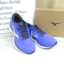 Mizuno WAVE SKY 5 女款 高緩衝 慢跑鞋 J1GD210298 藍【iSport】