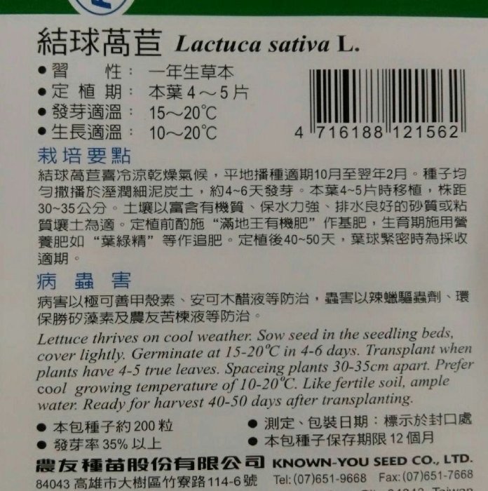 結球萵苣【滿790免運費】農友種苗 蔬菜種子 每包約200粒 保證新鮮種子