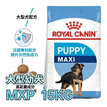 🔥現貨☆寵物王子☆ 皇家 MXP / AGR32 大型幼犬 15KG / 15公斤 大型犬 幼犬 犬糧