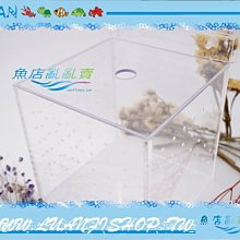 【~魚店亂亂賣~】LUANFISHOP高透明壓克力飼育箱/產卵箱(小號)繁殖箱13cm(缸內型)開放缸.邊條缸