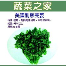 【蔬菜之家滿額免運】F12.美國耐熱芫荽(香菜)種子5克 (約500顆)(美國進口香菜，耐熱，易栽培.蔬菜種子)