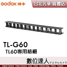 【數位達人】Godox 神牛 TL-G60 TL60 RGB條燈 網格【T2C 可用】Grid 光棒 蛋格 格柵