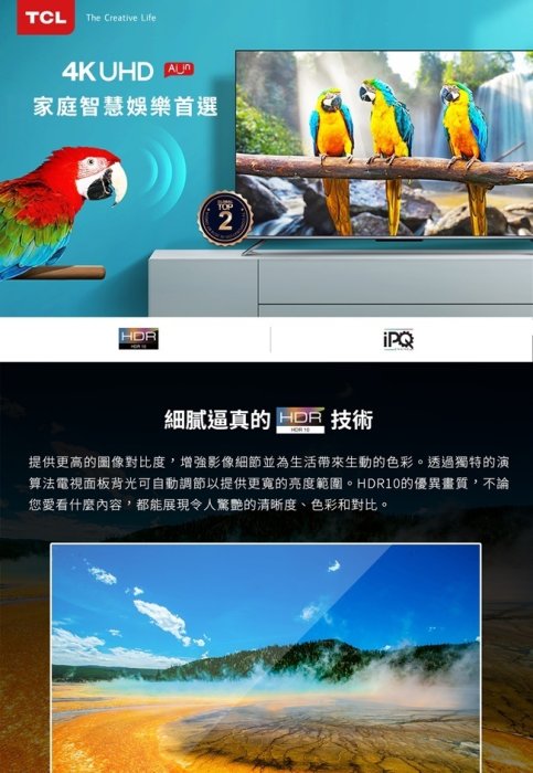【TCL】55吋4K高畫質連網聲控Android電視 55P715 基本安裝 Youtube Netflix連網